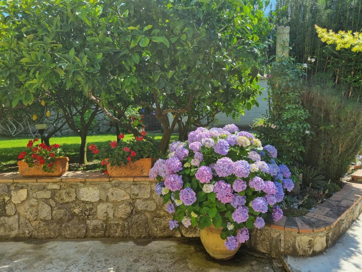 マラテーア Il Ruscello Bed & Breakfast エクステリア 写真