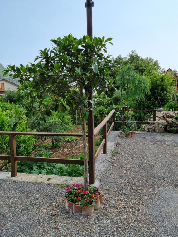マラテーア Il Ruscello Bed & Breakfast エクステリア 写真